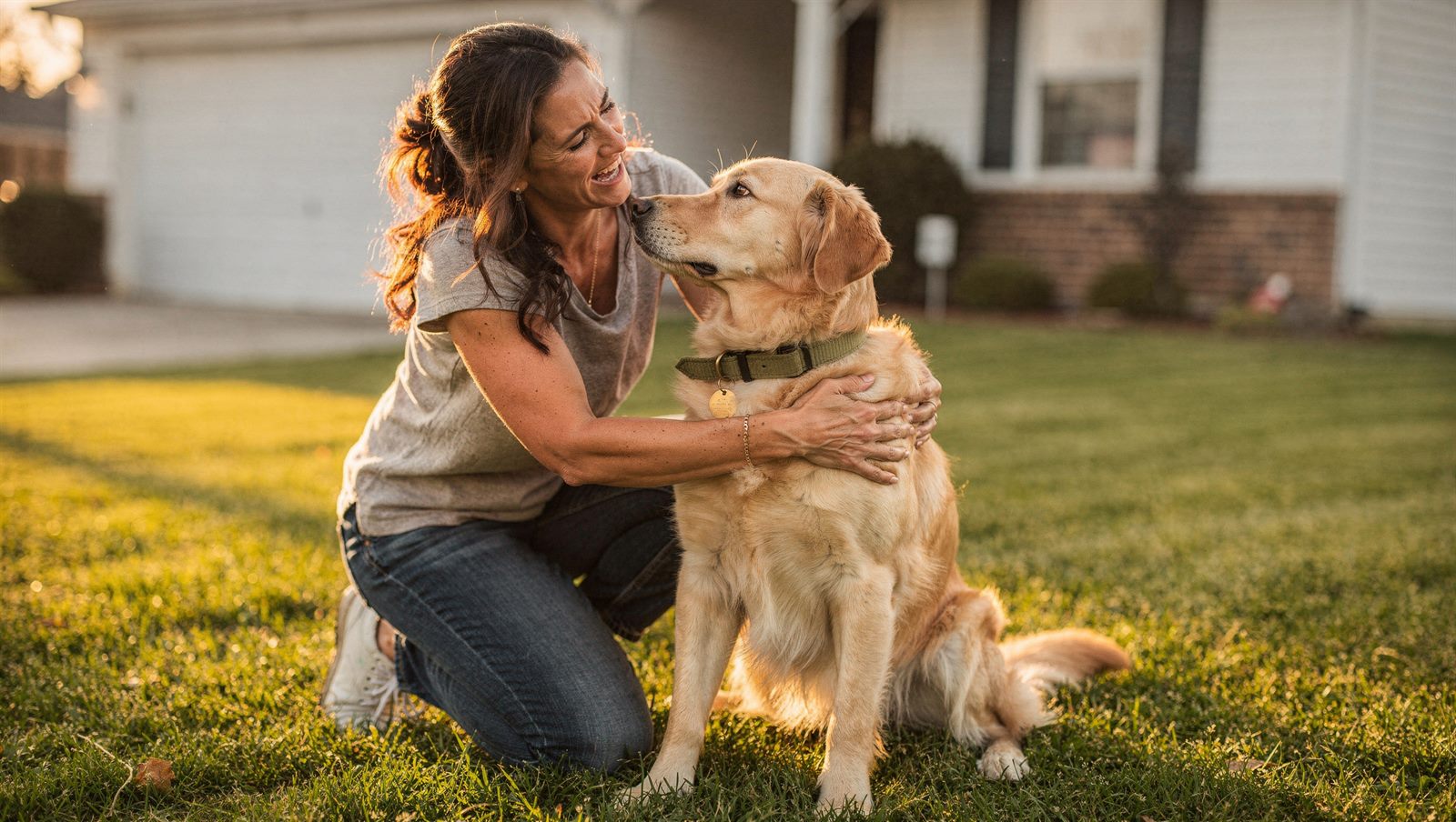An owner reunited with her golden retriever on the front lawn